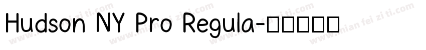 Hudson NY Pro Regula字体转换